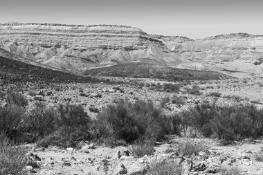 İsrail 'deki Negev Çölü' nün Rocky tepeleri. Güney İsrail Çölü 'ndeki çöl kaya oluşumlarının nefes kesici manzarası. Siyah beyaz resim