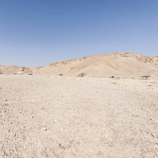 イスラエルのネゲヴ砂漠のロッキー山脈の丘の無限の荒廃 中東の息をのむような風景と自然 — ストック写真