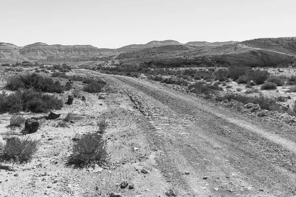Skaliste Wzgórza Pustyni Negev Izraelu Zapierający Dech Piersiach Krajobraz Pustynnych — Zdjęcie stockowe