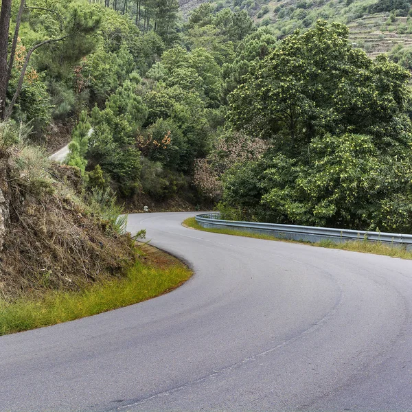 Winding Asphalt Road Vineyards River Douro Region Portugal Viticulture Portuguese — Stock Photo, Image