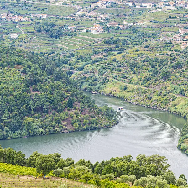 Vineyards River Douro Region Portugal Viticulture Portuguese Village — Stock Photo, Image