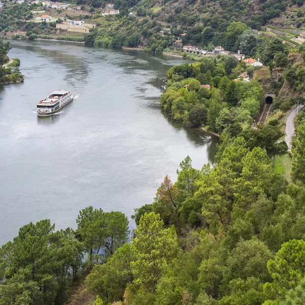 Portekiz Douro Nehri Bölgesinde Üzüm Bağları Zeytinlikler Arasında Seyahat Edin — Stok fotoğraf