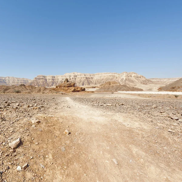 Melancholie Und Leere Der Felsigen Hügel Der Negev Wüste Israel — Stockfoto