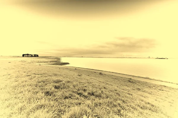 Sanddyner Och Hav Vid Nordsjöns Strand Holland Nederländskt Landskap Med — Stockfoto
