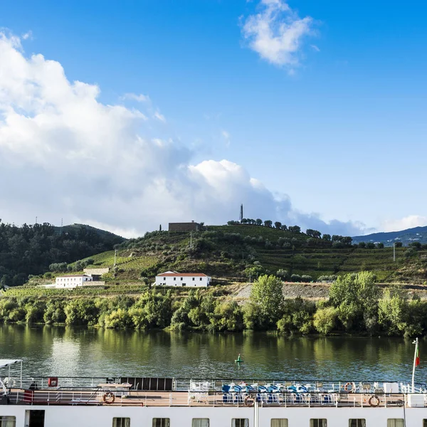 Viaggia Nella Regione Del Fiume Douro Portogallo Tra Vigneti Uliveti — Foto Stock