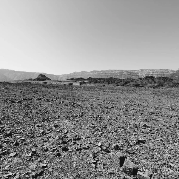 Magány Üresség Negev Sivatag Sziklás Dombjain Izraelben Lélegzetelállító Táj Közel — Stock Fotó