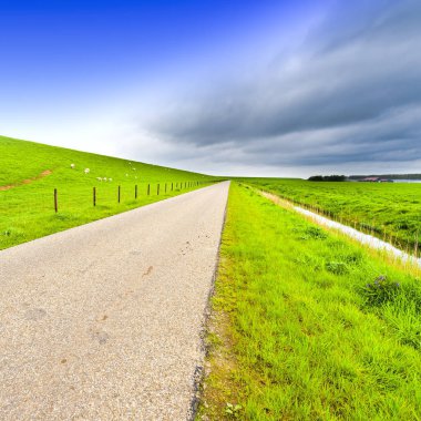 Tarım arazi üzerinden Hollanda'da bkz: geri. Asfalt yol boyunca koruyucu baraj ve Hollanda'da kanal. Koruyucu baraj üzerinde otlatma koyun.