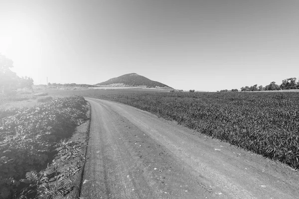 Strada Sterrata Che Conduce Giardino Delle Mandorle Fiorito Piedi Del — Foto Stock