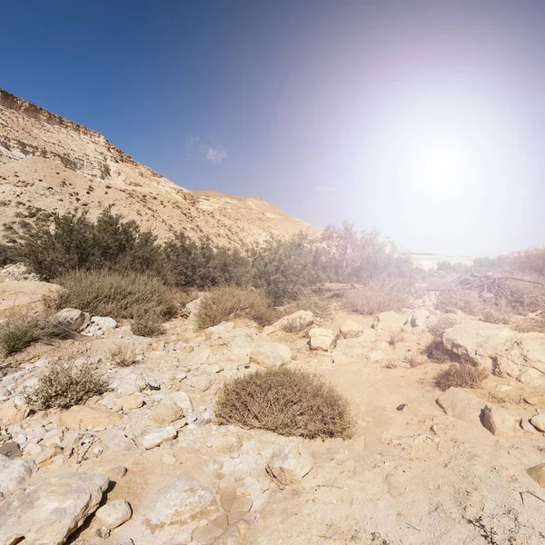 Colline Rocciose Del Deserto Del Negev Israele All Alba Paesaggio — Foto Stock