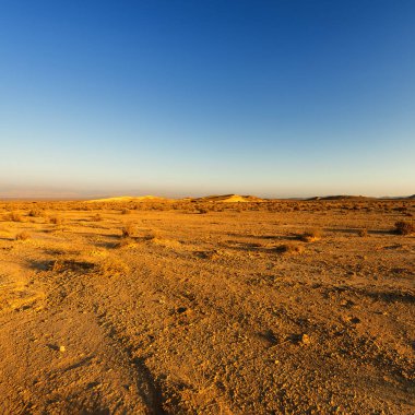 İsrail 'deki Negev Çölü' nün Rocky tepeleri. Güney İsrail 'deki kaya oluşumlarının nefes kesici manzarası. Tozlu dağlar wadiler ve derin kraterler tarafından kesildi..