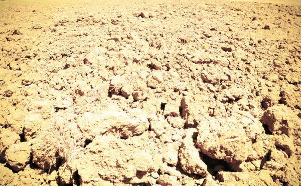 Padrão Campo Arado Preparado Para Plantar Culturas Primavera Israel Estilo — Fotografia de Stock