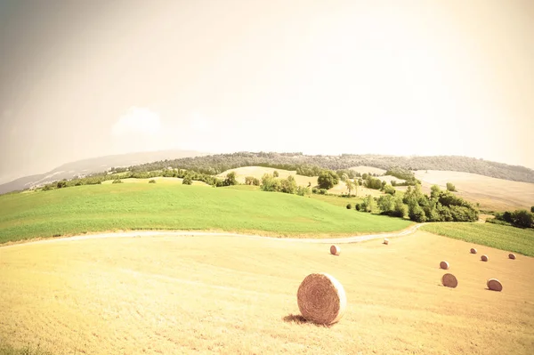 Toscana Landschap Van Het Tarweveld Met Hooibalen Retro Stijl — Stockfoto