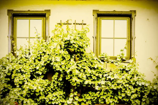 Avusturya Küçük Bir Kasabada Tipik Bir Penceresi Yağmurlu Bir Günde — Stok fotoğraf