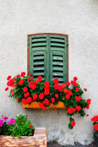 Ιταλικού Στυλ Παράθυρο Ξύλινα Παραθυρόφυλλα Διακοσμημένα Φρέσκα Λουλούδια Εκλεκτής Ποιότητας — Φωτογραφία Αρχείου