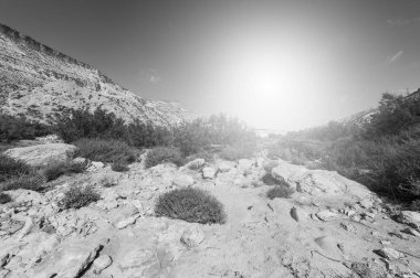 Negev Çölü İsrail kayalık hills adlı gündoğumu. Nefes kesici manzara çöl kaya oluşumları Güney İsrail Çölü'nde. Siyah beyaz resim