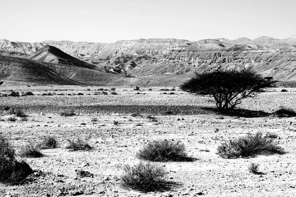 Fantasías en blanco y negro del desierto — Foto de Stock