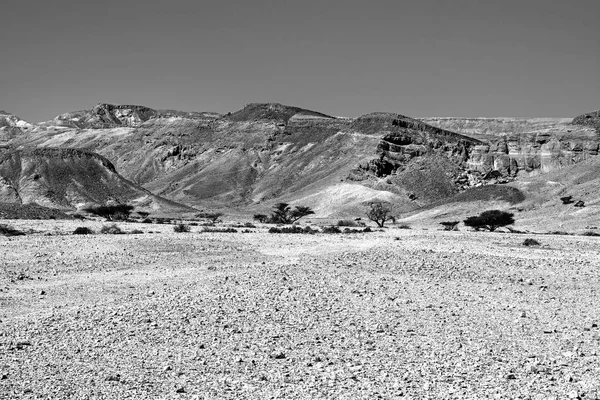 Fantasías en blanco y negro del desierto — Foto de Stock