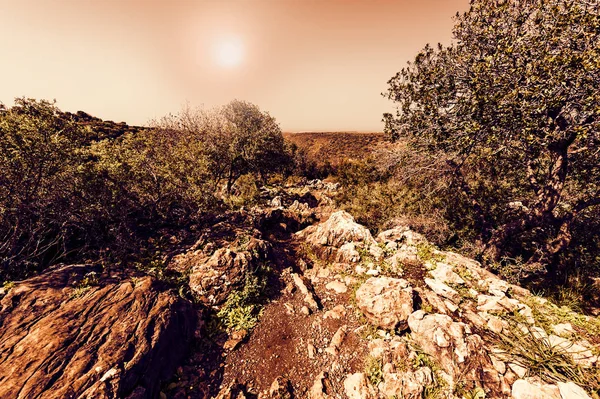 La naturaleza de la Galilea occidental — Foto de Stock