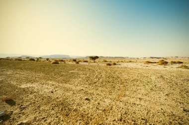 Vintage Tarzı Çöl