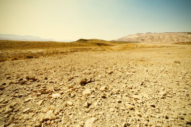 Vintage Tarzı Çöl