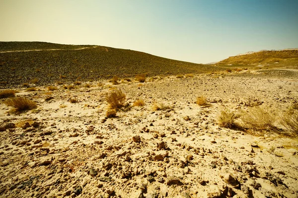 Wüste im Vintage-Stil — Stockfoto