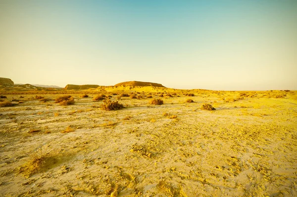 Deșertul stil vintage — Fotografie, imagine de stoc