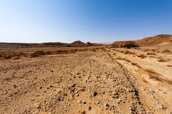 Padrões caprichosos do deserto — Fotografia de Stock