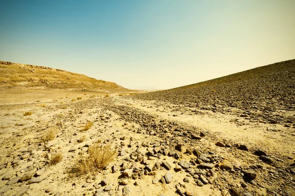 Deserto stile vintage — Foto Stock