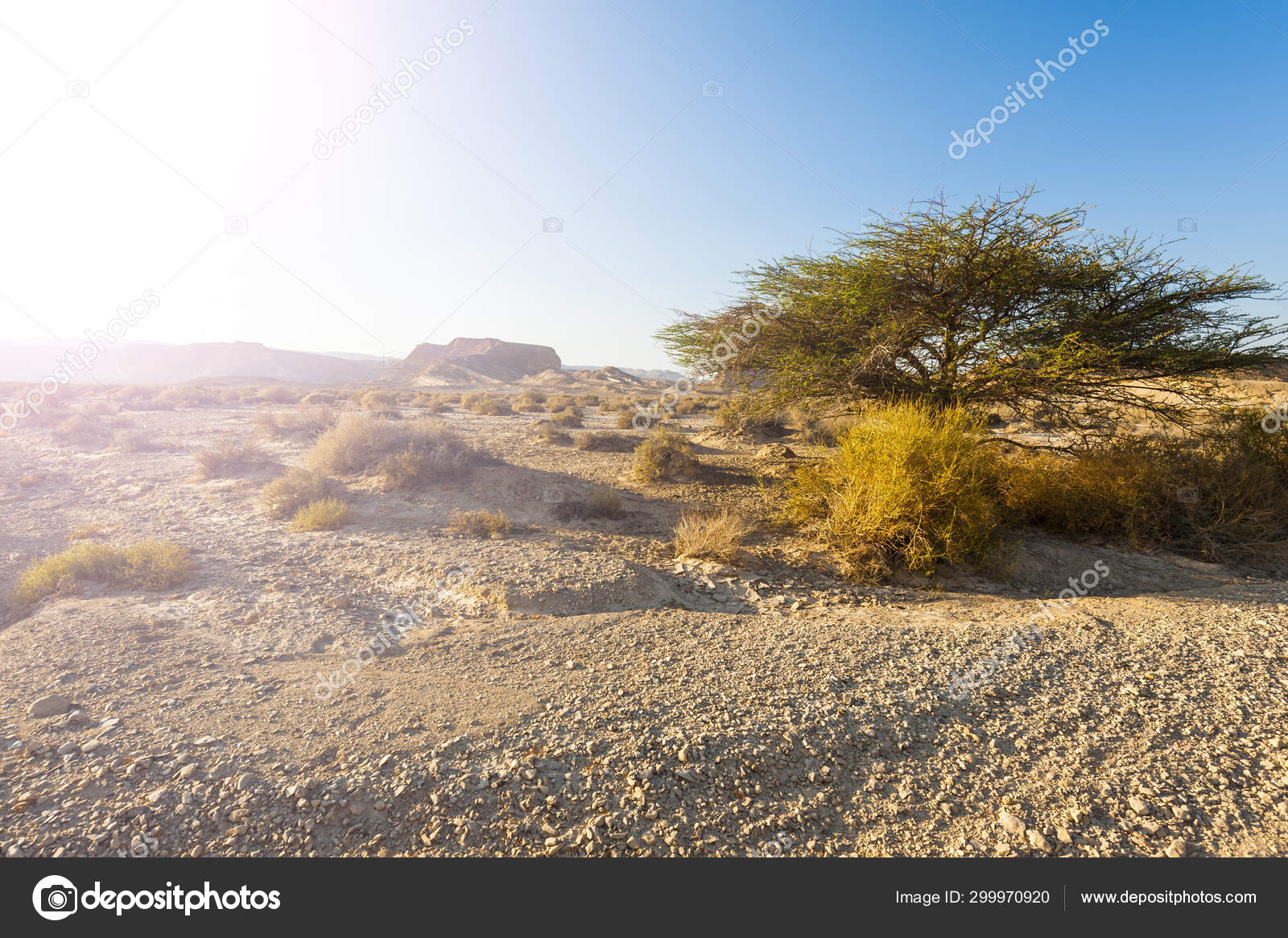 Hot afternoon sun Stock Photo by ©ggkuna 299970920