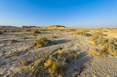 İsrail 'de sonsuzluğu terk et