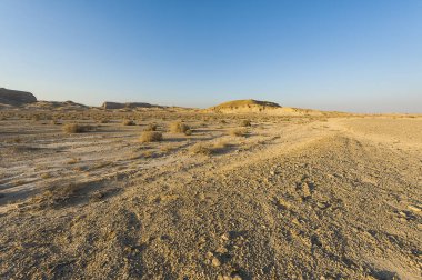 İsrail 'de sonsuzluğu terk et