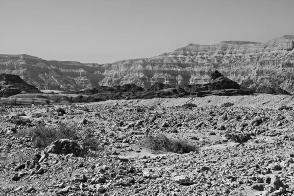 Black and white fantasies of the desert — Stock Photo, Image