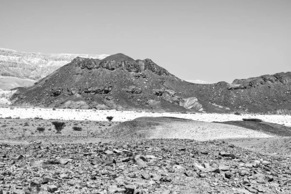 Černá a bílá fantazie pouště — Stock fotografie