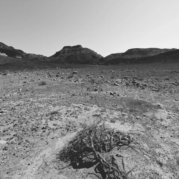 Deprese a prázdnota v černé a bílé — Stock fotografie