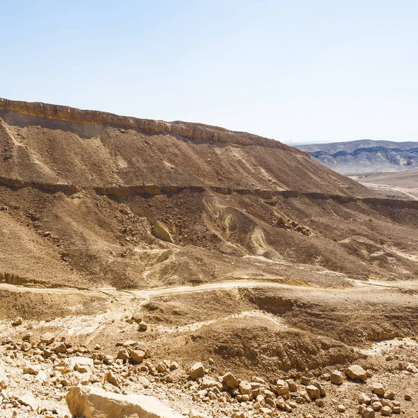 Patrones caprichosos del desierto — Foto de Stock