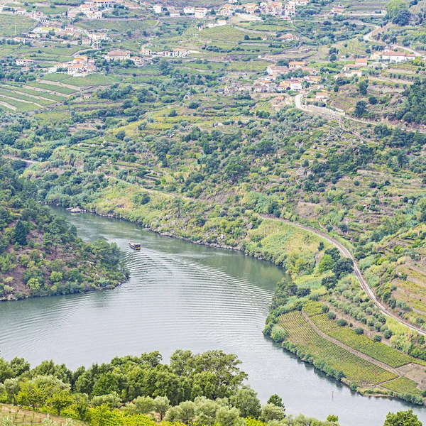 Ταξίδι στην περιοχή River Douro — Φωτογραφία Αρχείου