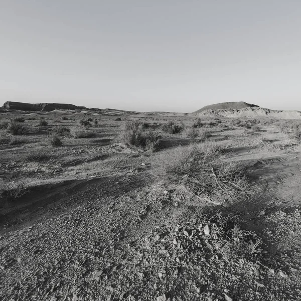 Desert in black and white