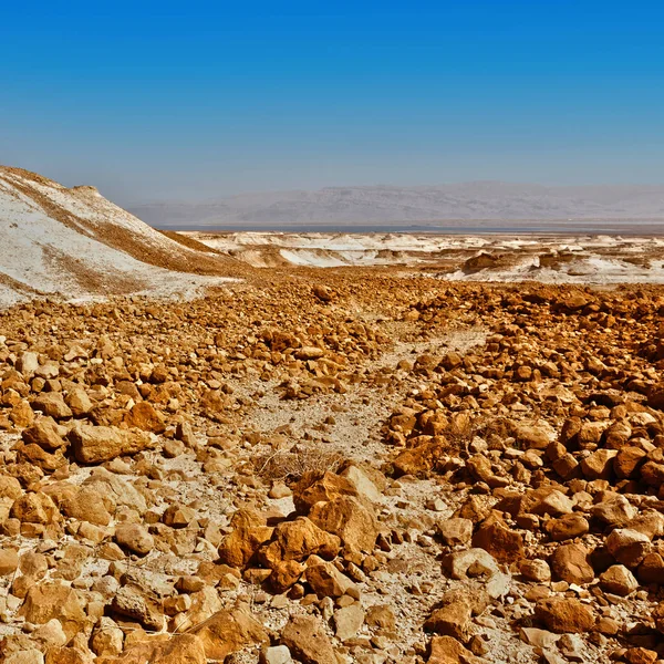Pustynia Negew w Izraelu — Zdjęcie stockowe