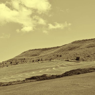 Sicilya'nın tepeleri