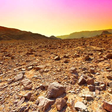 İsrail çölde azgın renkleri.