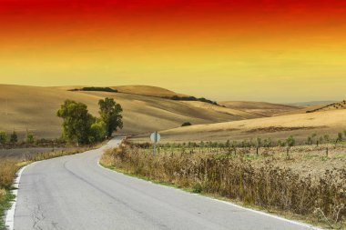 Gizemli İspanyol yol