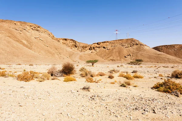 Lignes électriques en Israël . — Photo