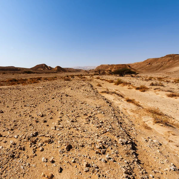 Rozmarné vzory pouště — Stock fotografie