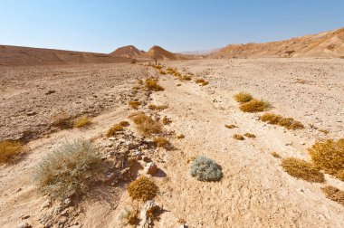 İsrail 'deki Negev Çölü' nün kayalık tepelerinin melankolik ve boşluğu. Ortadoğu 'nun nefes kesici manzarası ve doğası.
