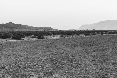 İsrail 'deki Negev Çölü' nün kayalık tepelerinde yalnızlık ve boşluk. Ortadoğu 'nun nefes kesici manzarası ve doğası. Siyah beyaz fotoğraf