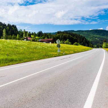 Avusturya 'da asfalt yol ormanları, tarlaları, otlakları ve çayırları ile