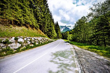 Ormanlar, alanları, otlaklar ve çayırlar Avusturyalı peyzaj asfalt yol. Vintage tarzı 