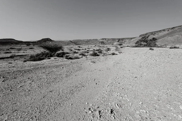 Драматическая Сцена Черно Белом Цвете Скалистых Холмов Пустыни Негев Израиле — стоковое фото