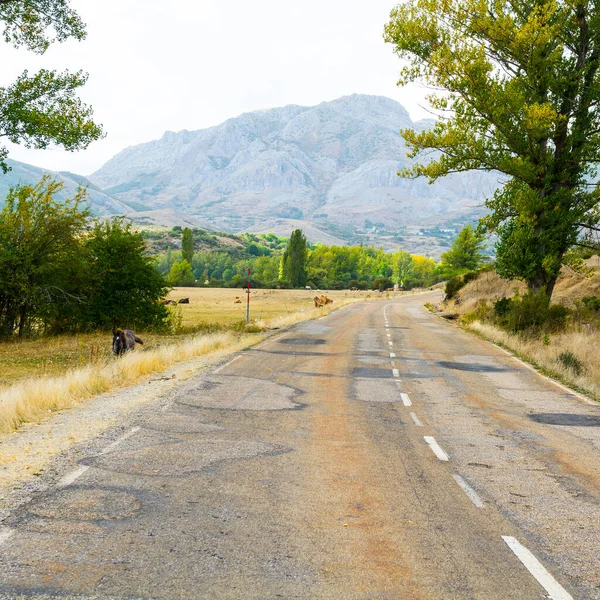 Winding Asphalt Road Europe Peaks Spain Early Morning — Stock Photo, Image