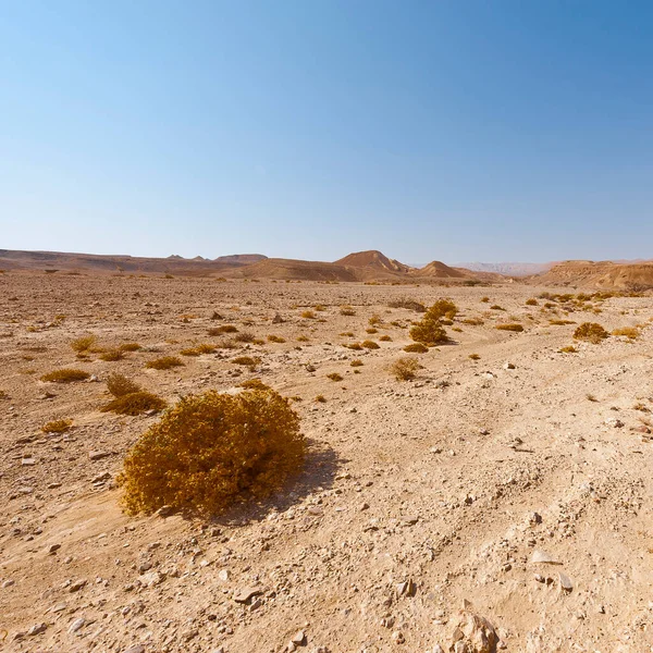 Melancholie Und Leere Der Felsigen Hügel Der Negev Wüste Israel — Stockfoto